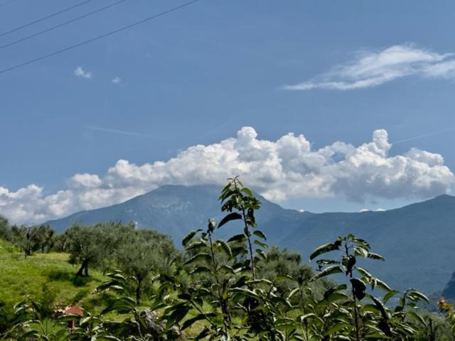 Alloggio Turistico Molu Apartment Gavazzo Nuova Ngoại thất bức ảnh